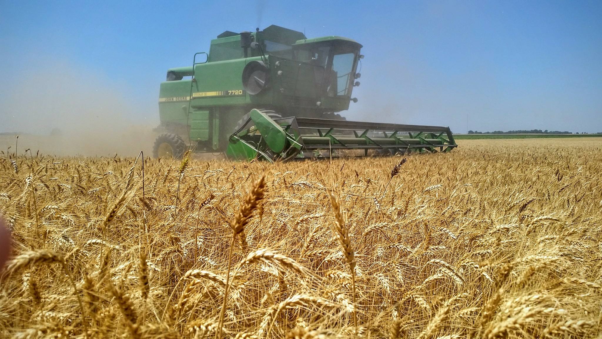 Rolling through the wheat field | Kansas Living Magazine
