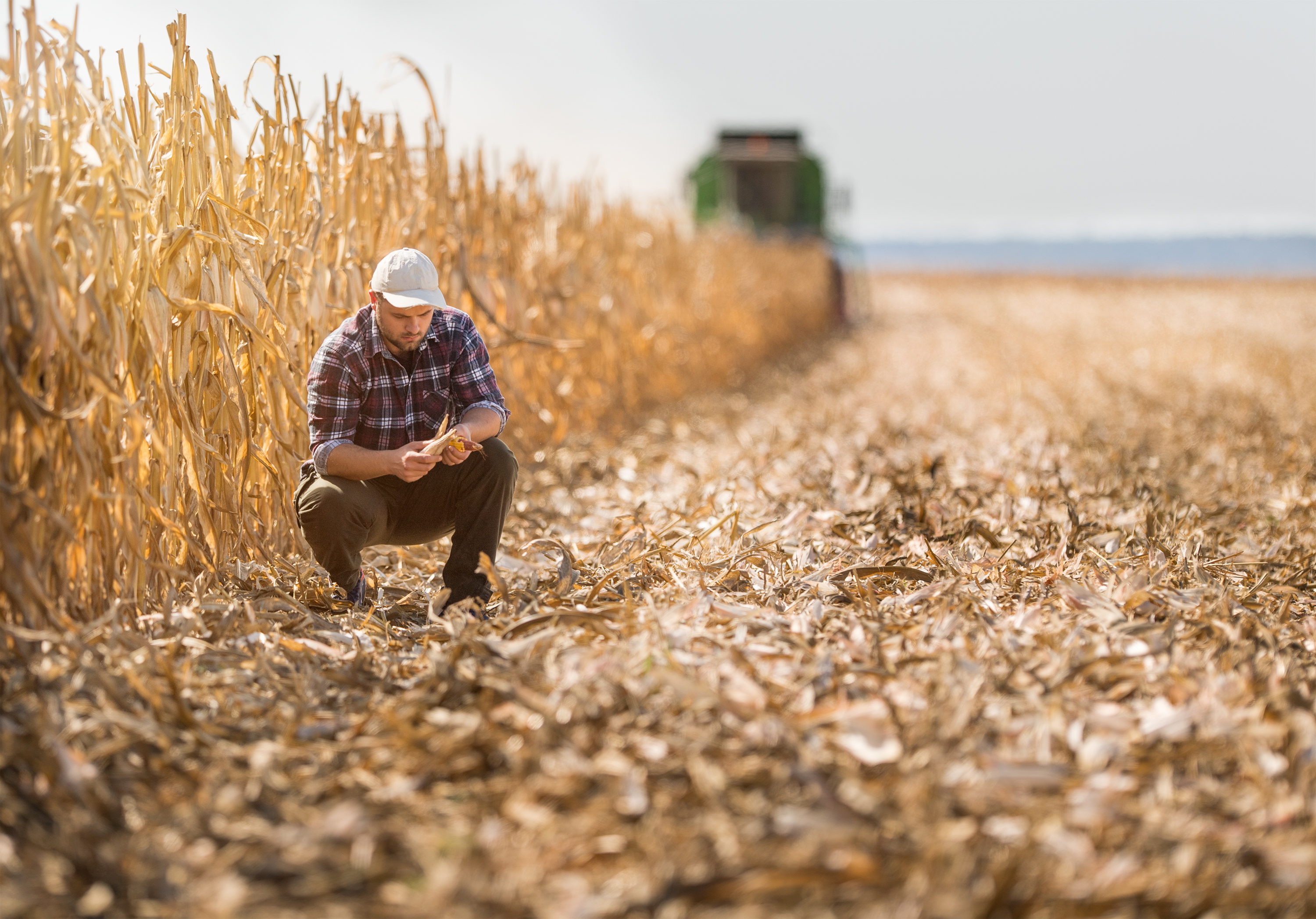 how-to-do-farmer-s-walk-muscles-worked-and-benefits