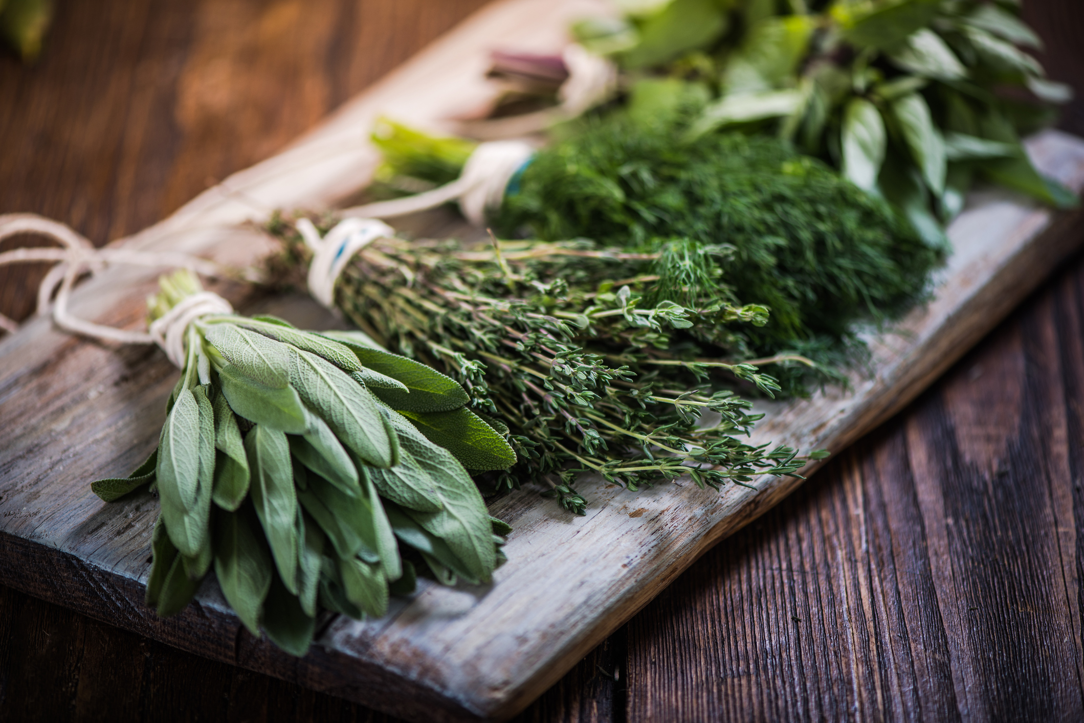 Top 6 Herbs for Cooking Kansas Living Magazine