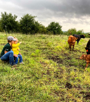 brandi_calving3