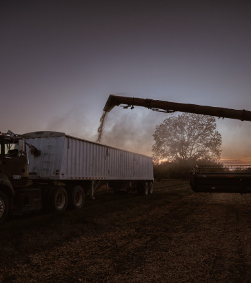 soybeans_sheridan wimmer