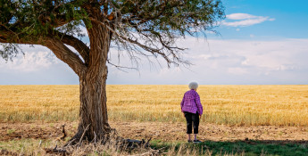 Ruby Lohman_Century Farm header