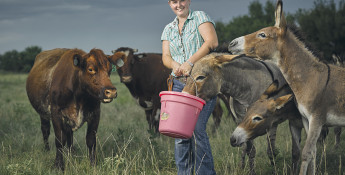 Farmer with donkeys and cattle