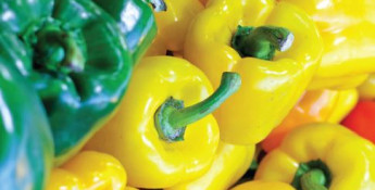 bell peppers recipe