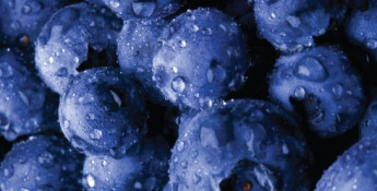 blueberries summertime oatmeal
