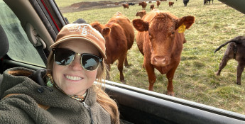 Beef cattle, cattle ranching, farming and ranching
