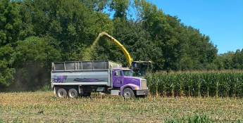 chopping_corn_silage_2020_web.png