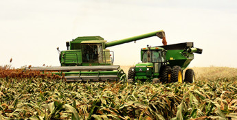 Fall harvest with combine and grain cart