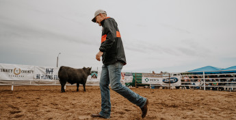 Beef Empire Days_header