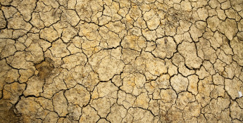 dry ground