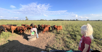 brandi_sustainability_feed