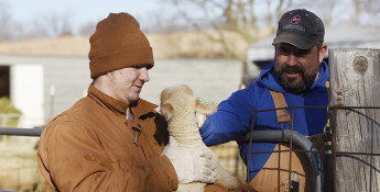 Isaac and Glenn Brunkow