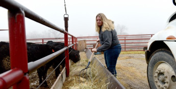 Jacquelyne Leffler feeds cattle