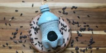 kids_craft_bird_feed_from_plastic_bottle-21.jpg
