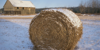 barn and bale in the snow