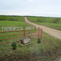 Day at the Ranch, Lindamood Ranch