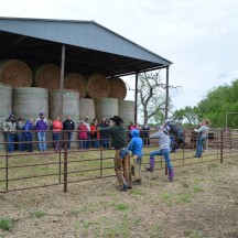 Day at the Ranch, tour