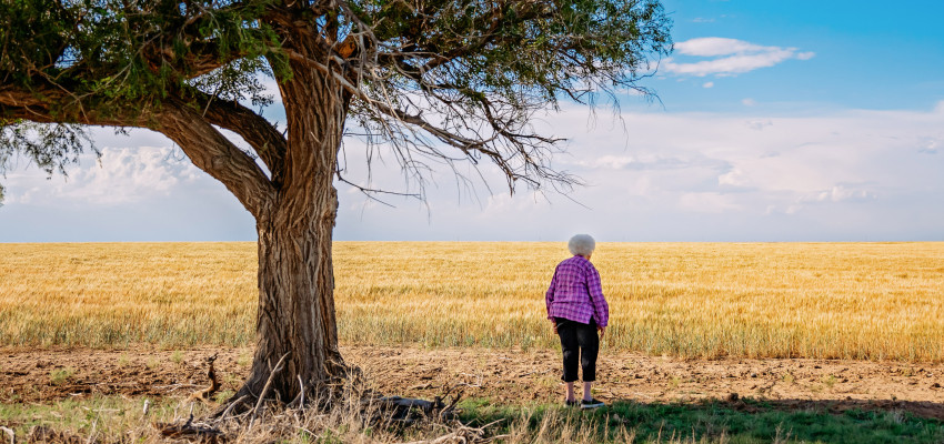 Ruby Lohman_Century Farm header