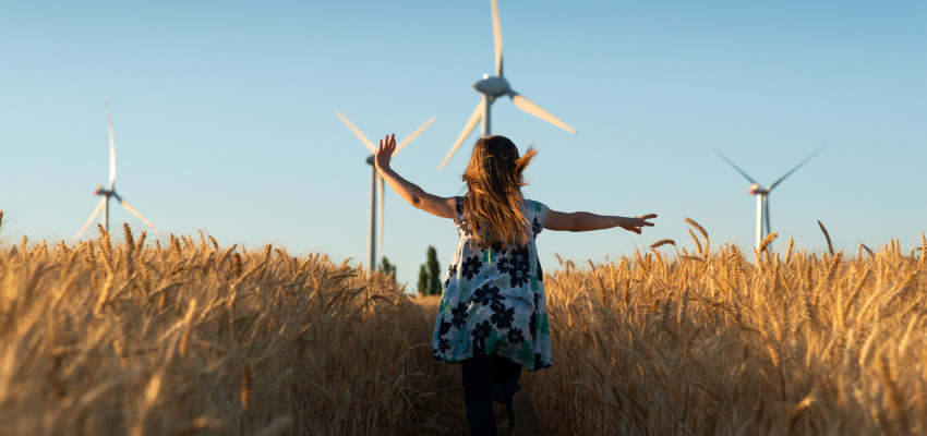 wind turbine in wheat field