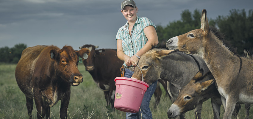 Farmer with donkeys and cattle