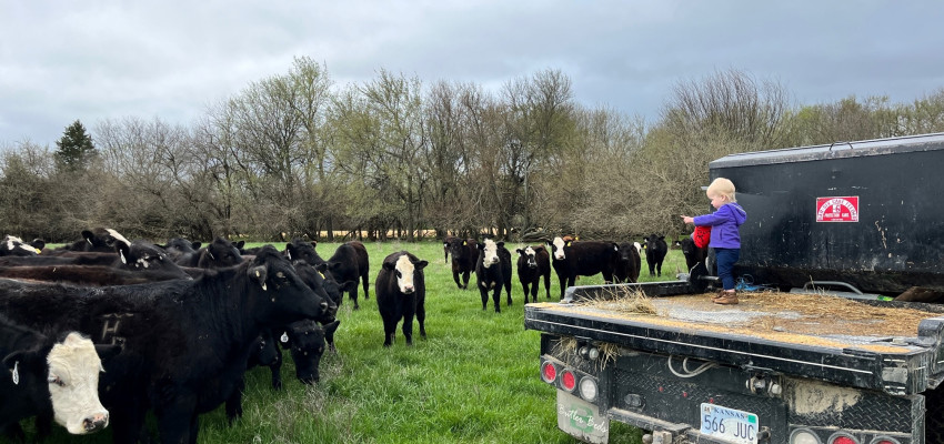 brandi buzzard earth day cows