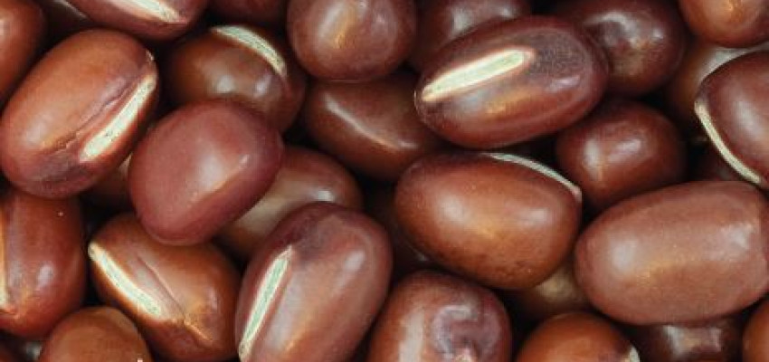 Bean Soup Recipe Bean Soup Recipe