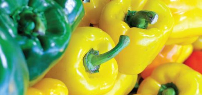 bell peppers recipe