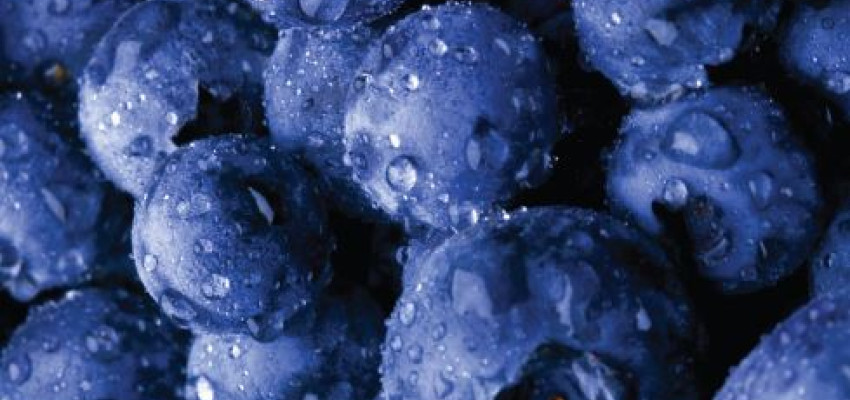 Blueberries recipe