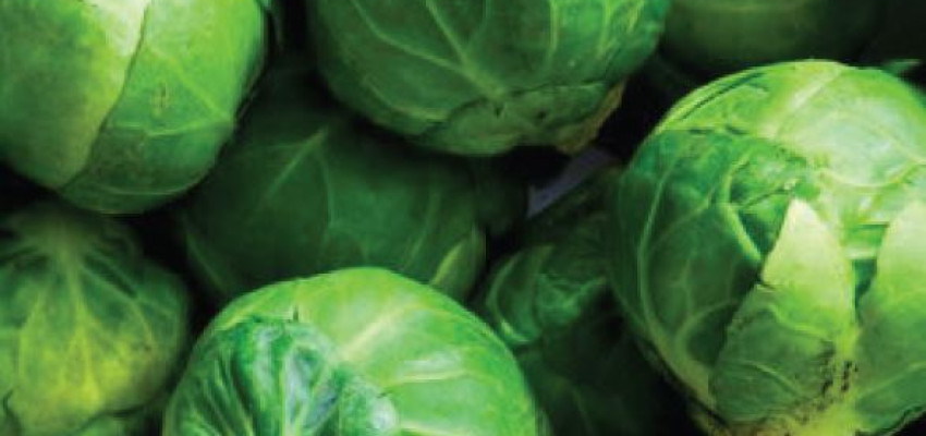 Pan Roasted Brussels Sprouts Pan Roasted Brussels Sprouts