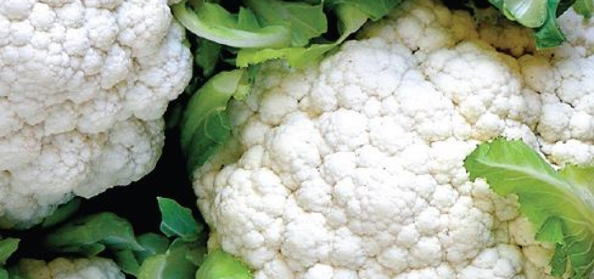 Oven-Roasted Cauliflower Oven-Roasted Cauliflower