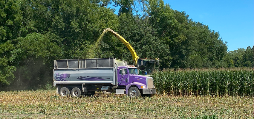 chopping_corn_silage_2020_web.png