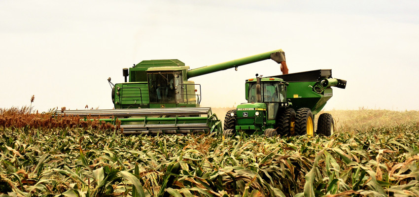 Fall harvest with combine and grain cart