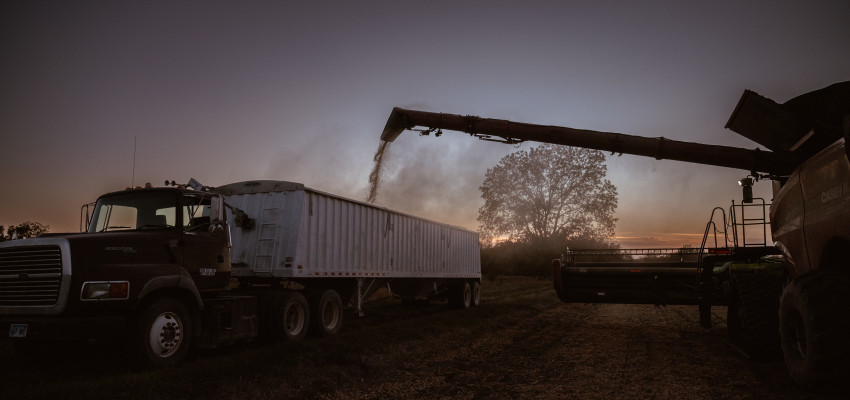 soybeans_sheridan wimmer