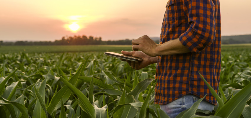 farmer using a tablet in a field