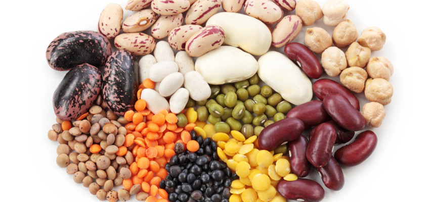 various beans