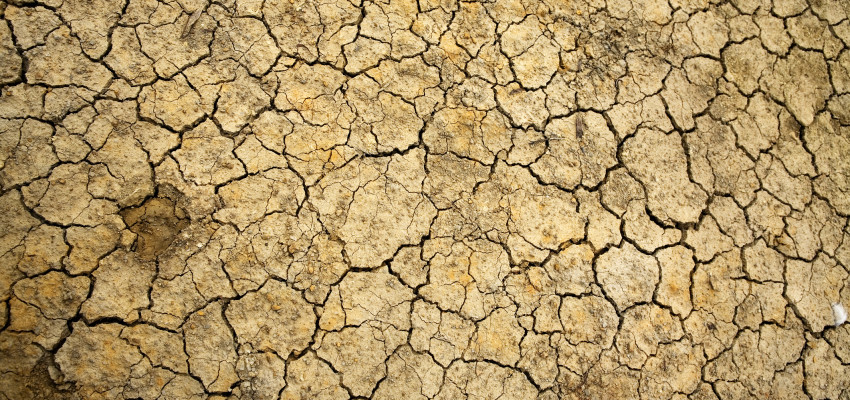 dry ground