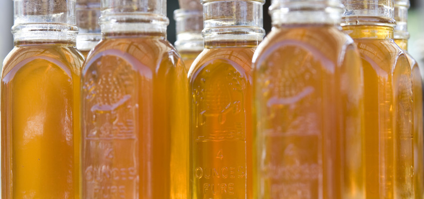 honey in small jars