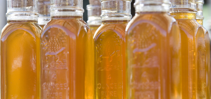 honey in small jars honey in small jars