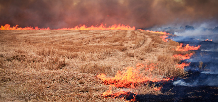 Prescribed fire in Kansas