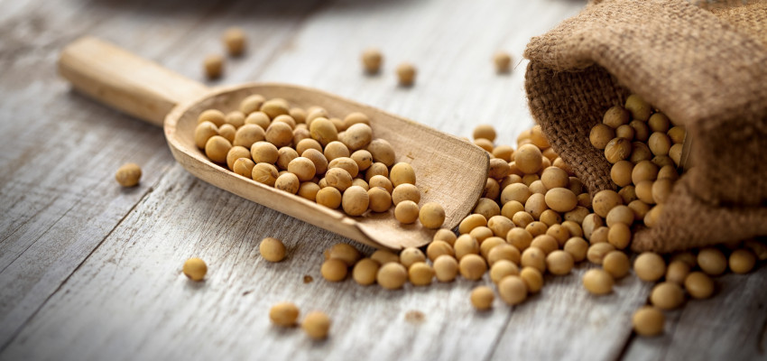 Does soy increase estrogen in males?  Kansas Living Magazine