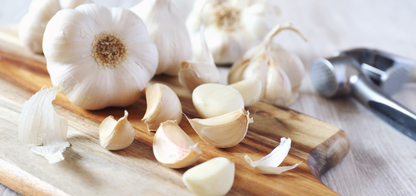 Garlic Garlic