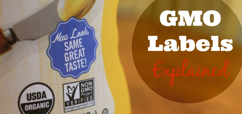 GMO label: what you need to know