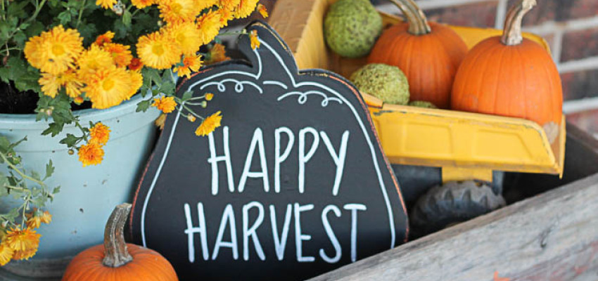 Fall sign Fall sign