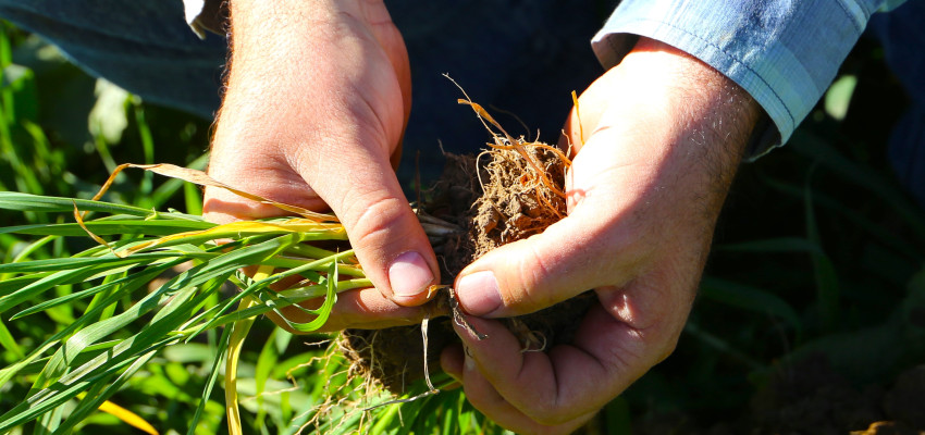 Jay Young regenerative ag