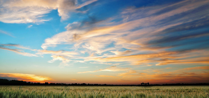 Kansas skies and field