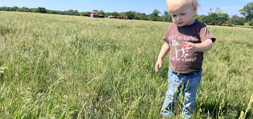 rotational grazing_brandi