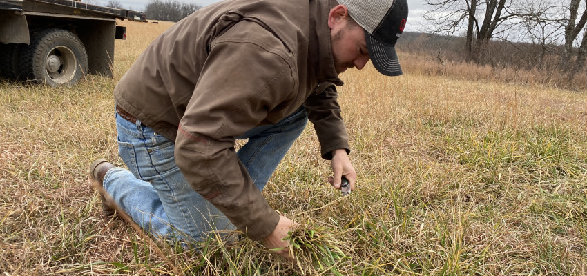 Grass ranching 