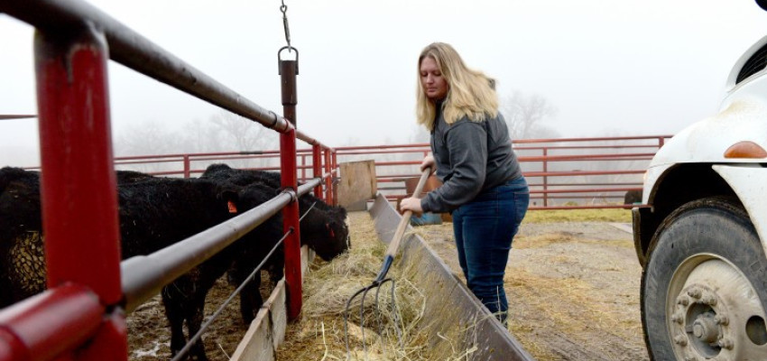 Jacquelyne Leffler feeds cattle