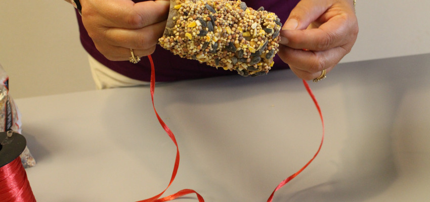 Homemade Bird Feeders | Kansas Living Homemade Bird Feeders | Kansas Living
