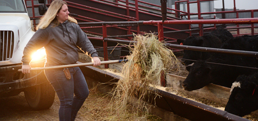 Jacquelyne Leffer with cattle